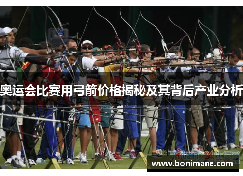 奥运会比赛用弓箭价格揭秘及其背后产业分析 奥运会比赛用弓箭价格揭秘及其背后产业分析